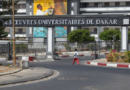 UCAD: identification d’une nouvelle espèce bactérienne issue du lait maternel sénégalais