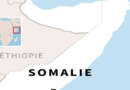 La Somalie rompt tous ses accords avec les Émirats arabes unis