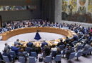 Le Conseil de sécurité va examiner la demande d’adhésion à l’ONU de la Palestine
