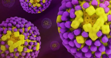 Lutte contre la Grippe: ce vaccin centenaire contre la tuberculose donne des résultats surprenants