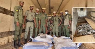 Trafic de drogues et de migrants, faux médicaments, criminalité faunique: 16 plaques tournantes répertoriées au Sénégal