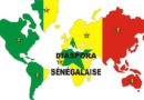 «La diaspora sénégalaise, une actrice de développement », Par Cheikh Sène, Économiste, enseignant à l’UCAD
