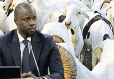 Ousmane Sonko : “ Nous misons sur l’esprit citoyen de tous les acteurs pour un approvisionnement correct du marché en moutons”