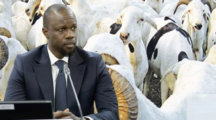 Ousmane Sonko : “ Nous misons sur l’esprit citoyen de tous les acteurs pour un approvisionnement correct du marché en moutons”