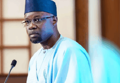 Ousmane Sonko relève les faibles capacités de transformation et les énormes potentialités de la filière peaux et cuirs