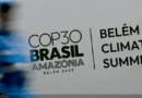 COP 30 : quels sont les grands enjeux pour l’Afrique? COP 30 : quels sont les grands enjeux pour l’Afrique?