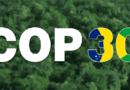 COP30: le fonds TFFF du président Lula est-il taillé pour sauver les forêts tropicales? COP30: le fonds TFFF du président Lula est-il taillé pour sauver les forêts tropicales?