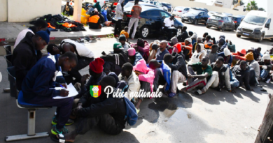 Emigration clandestine : La Division nationale de lutte contre le trafic de migrants et les pratiques assimilées (DNLT) interpelle 238 migrants
