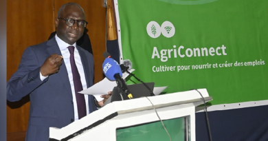 Mabouba Diagne: 1250 milliards FCFA pour développer l’agriculture