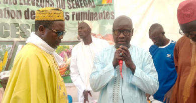 Bambey /Ag constitutive césar : les éleveurs réclament l’application de la loi criminalisant le vol de bétail