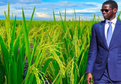 LUTTE CONTRE LES PERTES POST-RECOLTE – Lancement du projet de stockage et conservation des produits horticoles ce mardi LUTTE CONTRE LES PERTES POST-RECOLTE – Lancement du projet de stockage et conservation des produits horticoles ce mardi