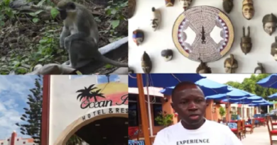 Tourisme : Senegambia