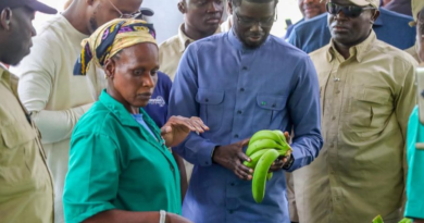 Le président de la république en tournée au Sénégal oriental : « L’autosuffisance en bananes à la portée du Sénégal »