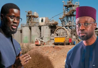 AN II DE BASSIROU DIOMAYE FAYE – Récoltes record et virage industriel : l’An II agricole du gouvernement Sonko AN II DE BASSIROU DIOMAYE FAYE – Récoltes record et virage industriel : l’An II agricole du gouvernement Sonko