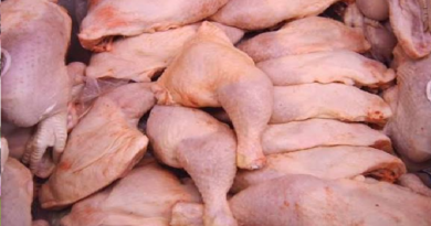 Poulets importés frauduleusement : l’Interprofession avicole tire la sonnette d’alarme avant la Korité