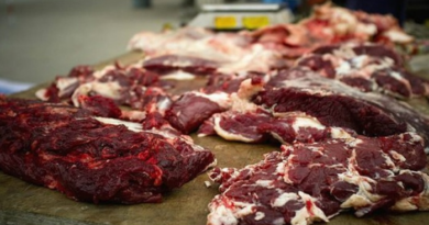 Après les « brochettes » de chat, le « dibi » de chien à Hamo Tefess : Dakar, nouveau terrain de chasse des amateurs de viandes douteuses Après les « brochettes » de chat, le « dibi » de chien à Hamo Tefess : Dakar, nouveau terrain de chasse des amateurs de viandes douteuses