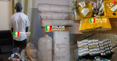 Chanvre indien, Tramadol, fuites et arrestations : l’OCRTIS frappe fort dans plusieurs régions du Sénégal