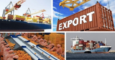 Sénégal : les exportations en hausse en février 2026, mais en repli sur un an