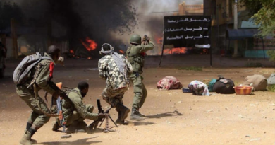 Mali : Le JNIM revendique deux attaques ayant fait 30 morts