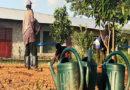 Développement inclusif et durable : A Niaguis, l’agriculture intelligente sort de l’école