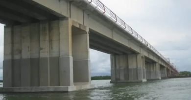 Tragédie au pont Émile Badiane : un mort et des passagers portés disparus dans le fleuve