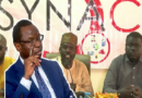 Le SYNACOM décrète une grève de 48h renouvelables et indexe le Ministre du Commerce, Serigne Gueye Diop Le SYNACOM décrète une grève de 48h renouvelables et indexe le Ministre du Commerce, Serigne Gueye Diop