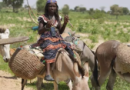 Nigeria: une quarantaine d&rsquo;éleveurs peuls tuée par des miliciens nigérians et béninois