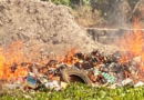 Ziguinchor : incinération de plus de 11 tonnes de produits impropres à la consommation