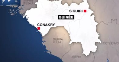 Guinée: suspension fonctionnaires