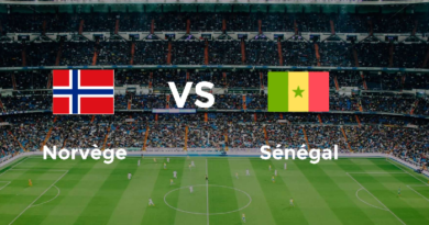 Sénégal-Norvège: Les Lions jouent leur première finale Sénégal-Norvège: Les Lions jouent leur première finale