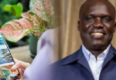 Tourisme intelligent : la révolution numérique au service des destinations locales ( Par Souleymane Astou DIAGNE )