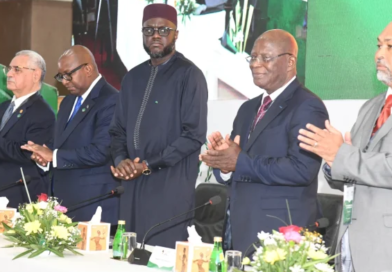 Union parlementaire africaine: A Dakar, le dialogue interparlementaire se consolide