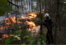 Incendies en France: que cherchent les pyromanes en provoquant des départs de feu? Incendies en France: que cherchent les pyromanes en provoquant des départs de feu?