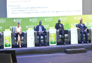 Ahmadou Al Aminou Lo recommande aux banques centrales africaines de recourir au financement participatif Ahmadou Al Aminou Lo recommande aux banques centrales africaines de recourir au financement participatif