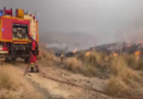 Au moins 11 morts pris au piège dans un feu de forêt dans le sud de l’Espagne Au moins 11 morts pris au piège dans un feu de forêt dans le sud de l’Espagne
