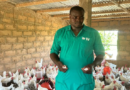 A Gamadji Saaré, dans le Podor, une ferme modèle portée par les ambitions de souveraineté alimentaire A Gamadji Saaré, dans le Podor, une ferme modèle portée par les ambitions de souveraineté alimentaire
