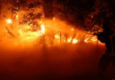 France: des dizaines de milliers d’évacués et des renforts aériens attendus après des incendies dans le Sud-Ouest France: des dizaines de milliers d’évacués et des renforts aériens attendus après des incendies dans le Sud-Ouest