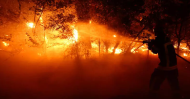 Incendies en Europe: un continent entier face aux brasiers Incendies en Europe: un continent entier face aux brasiers