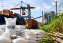 Le gouvernement va autoriser les importations de sucre à partir du mercredi 15 juillet Le gouvernement va autoriser les importations de sucre à partir du mercredi 15 juillet