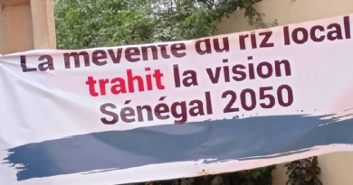 Ross-Béthio : marche contre la mévente du riz local, les producteurs réclament le départ du ministre Sérigne Guèye Diop Ross-Béthio : marche contre la mévente du riz local, les producteurs réclament le départ du ministre Sérigne Guèye Diop