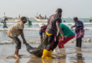 Reportage – Rareté du poisson : Mbour au quai sec