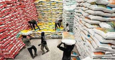 Commercialisation du riz local: L’État gèle les importations Commercialisation du riz local: L’État gèle les importations