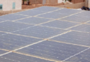 Diogo, pionnier de l’agriculture solaire et durable dans les Niayes