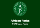 Le prince Harry quitte une ONG africaine éclaboussée par un scandale Le prince Harry quitte une ONG africaine éclaboussée par un scandale