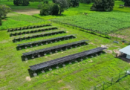 Programme national d’accès universel à l’électricité: l’Aser branche 15 villages entre Kolda et Sédhiou Programme national d’accès universel à l’électricité: l’Aser branche 15 villages entre Kolda et Sédhiou