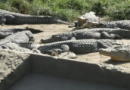 Ferme à crocodiles de Djibélor : dans le royaume discret des reptiles Ferme à crocodiles de Djibélor : dans le royaume discret des reptiles