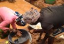 À la frontière du Cameroun avec la RCA, un éboulement dans une mine d’or fait plus d’une centaine de morts À la frontière du Cameroun avec la RCA, un éboulement dans une mine d’or fait plus d’une centaine de morts