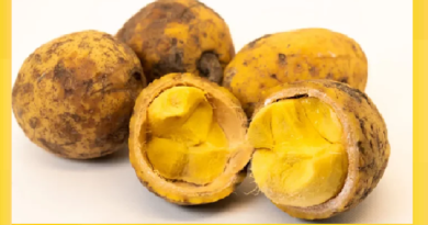 FRUITS DE SAISON -Le business du «madd » fait recette FRUITS DE SAISON -Le business du «madd » fait recette