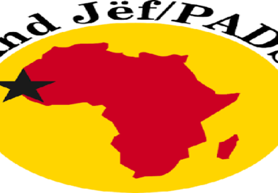 And-Jëf/PADS veut renaître de ses cendres et conquérir les 15 collectivités locales de Kolda
