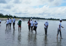 Baïla: des communautés se mobilisent dans le repiquage de la mangrove pour redonner vie à un marigot de 10 ha